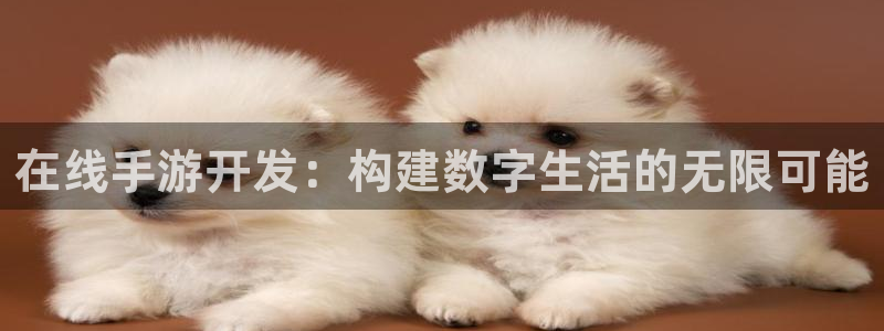 恒盛娱乐首页：在线手游开发：构建数字生活的无限可能