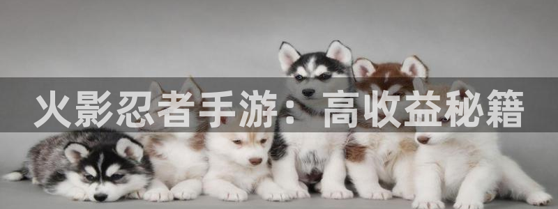 恒盛娱乐平台：火影忍者手游：高收益秘籍