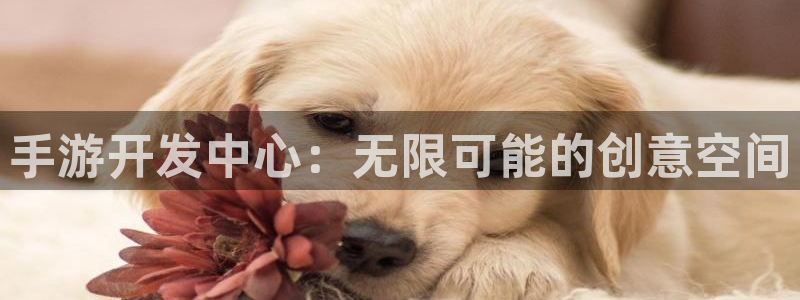 恒盛娱乐登录：手游开发中心：无限可能的创意空间