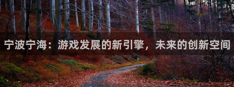 恒盛娱乐平台：宁波宁海：游戏发展的新引擎，未来的创新空间