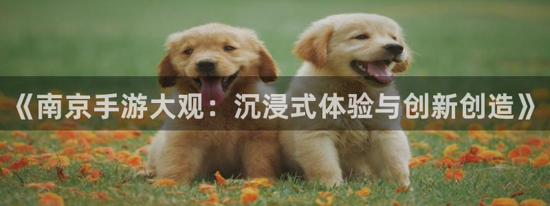 恒盛娱乐：《南京手游大观：沉浸式体验与创新创造》