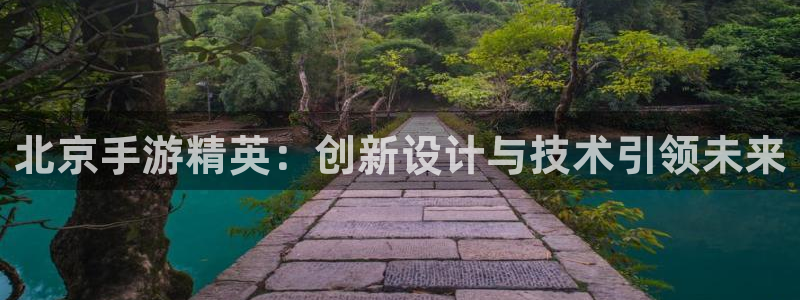 恒盛娱乐官网：北京手游精英：创新设计与技术引领未来