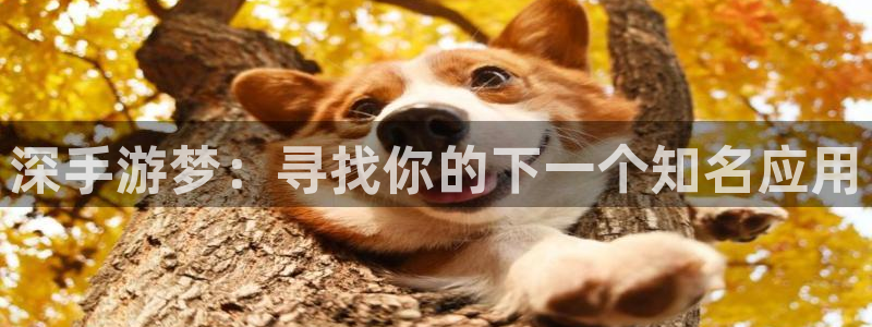 恒盛娱乐：深手游梦：寻找你的下一个知名应用