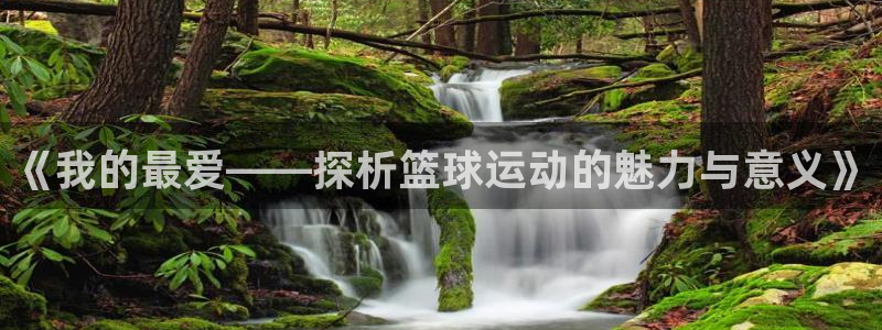 中欧体育ac米兰