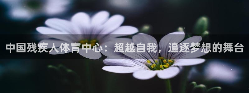 中欧体育kok官网首页：中国残疾人体育中心：超越自我，追逐梦想的舞台