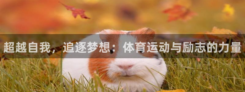 中欧体育网址：超越自我，追逐梦想：体育运动与励志的力量