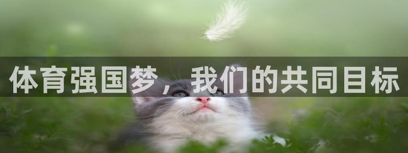 中欧体育kok官网首页：体育强国梦，我们的共同目标